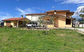 Lemon Villa